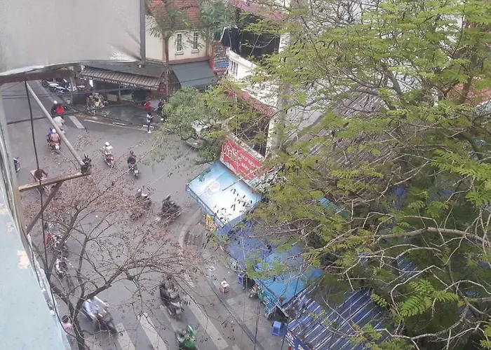 Ha Noi Panda